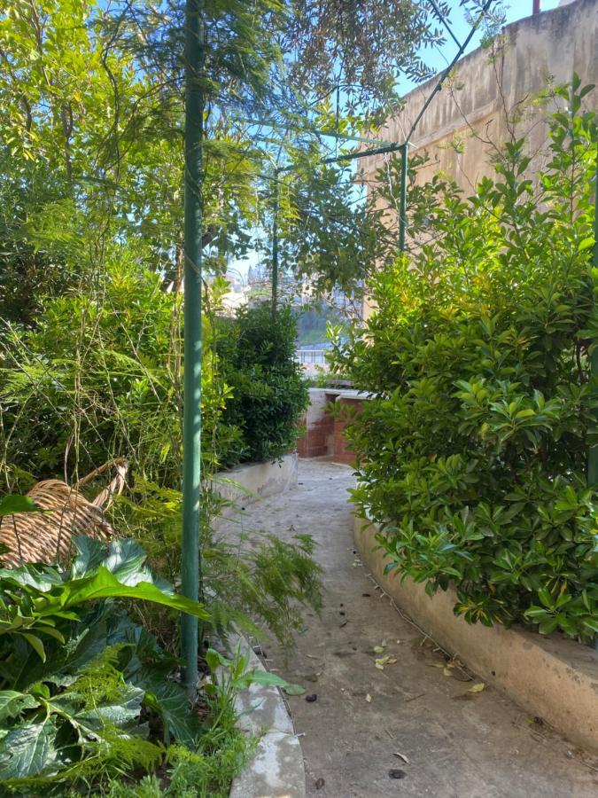 Central House With Beautiful Garden Amman Exterior photo